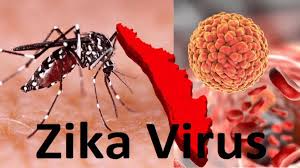 Zika Virus : झिकाने वाढविली डोकेदुखी! राज्यात १२७, तर….