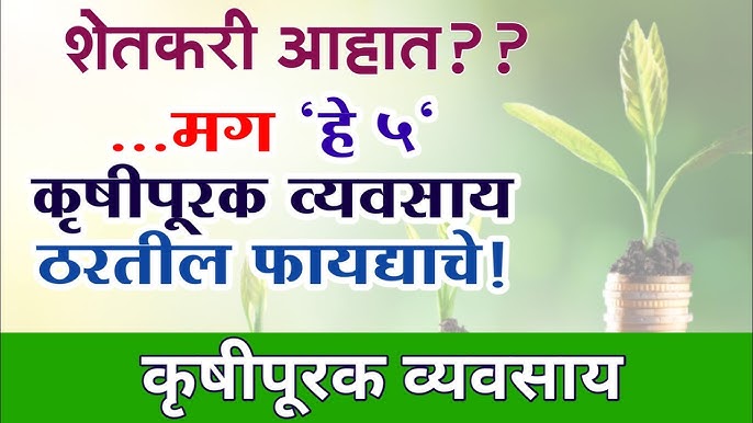 Agriculture Business Ideas: शेतीतून नफा होत नाही? तर मग करा हे शेतीपूरक व्यवसाय करा आणि मिळवा नफा…..