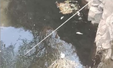 हातकणंगले तालुक्यातील सायझिंगच्या दूषित पाण्यामुळे विहिरीतील शेकडो मासे पडले मृत्युमुखी 