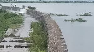 आटपाडी तालुक्यातील राजेवाडी तलावाच्या पाण्याने शेतकऱ्यांना दिलासा; पिकांना जीवदान