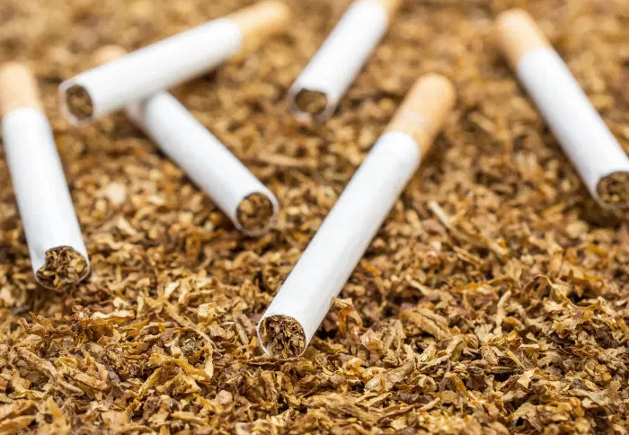 तंबाखूचे व्यसन टाळण्यासाठी या सोप्या टिप्स