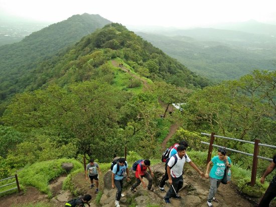महाराष्ट्रातील सर्वात लोकप्रिय तालुक्यात 3 महिन्यांसाठी पर्यटन बंदी !