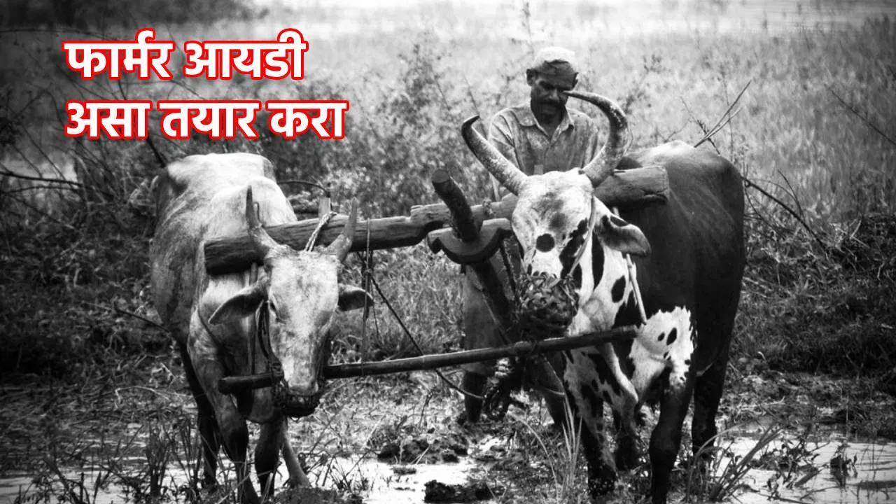 PM Kisan Yojana: फार्मर आयडी नसले तर 22 वा हप्ता विसरुन जा, कसा तयार करणार Farmer ID? जाणून घ्या